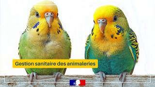 Gestion sanitaire des animaleries