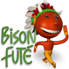 Bison_Fute