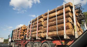 Transport de bois ronds